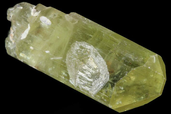 Gemmy Yellow Apatite Crystal - Morocco #82543